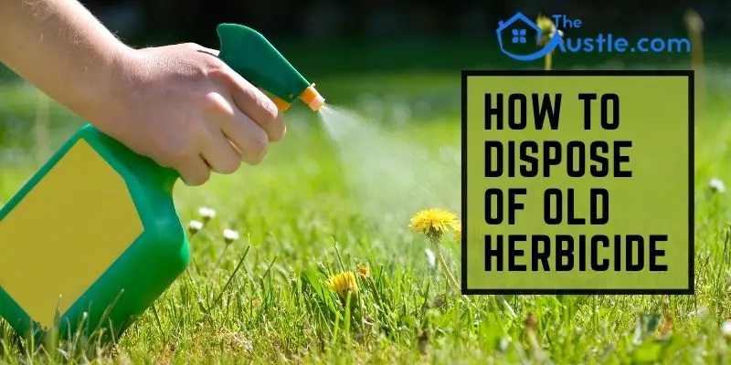 Manage How To Dispose Of Old Herbicide: Excellent Ideas in ...