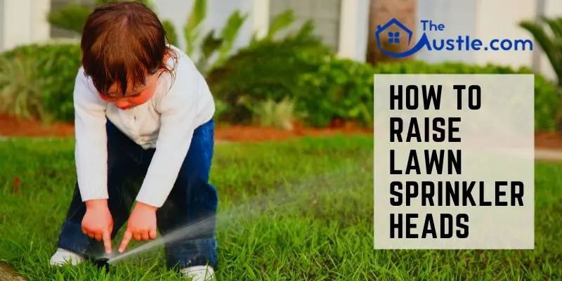 How to Raise Lawn Sprinkler Heads- Do It Like a Pro