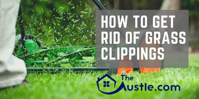 How To Get Rid Of Grass Clippings Easily With Pro Tips